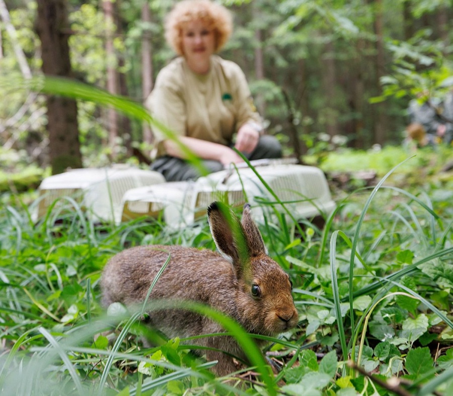 09. Центр «Дом Зайца» (Москва)