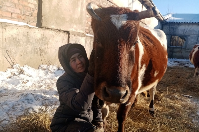 «Добрая ферма» в ГоГолево (Псковская область)